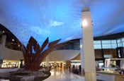 Auck Airport thumb