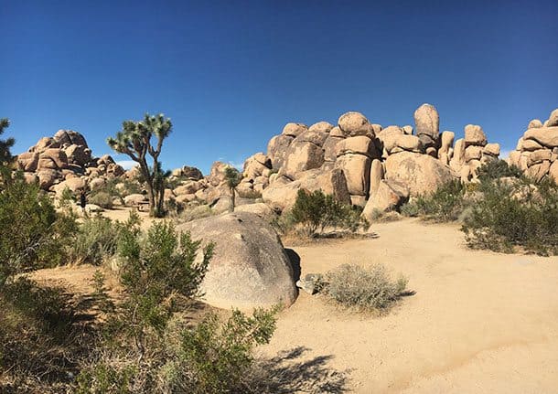 Joshua Tree boulders