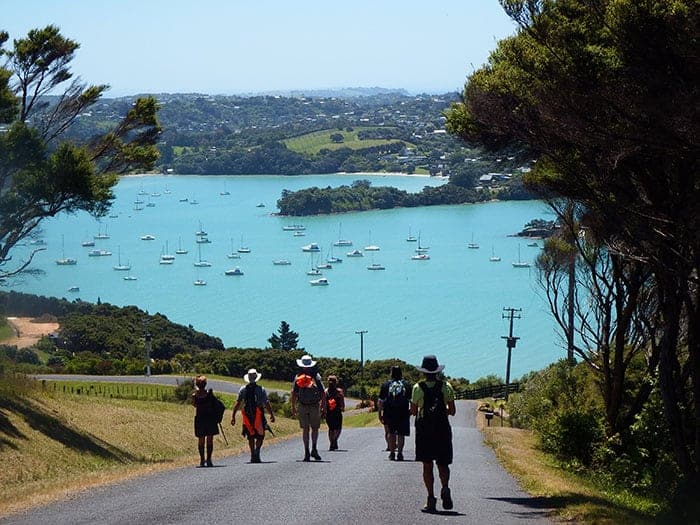 Walking on Waiheke with amazing views