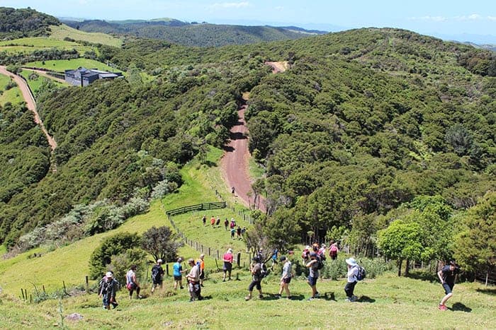 Walking across farmland on Waiheke Island