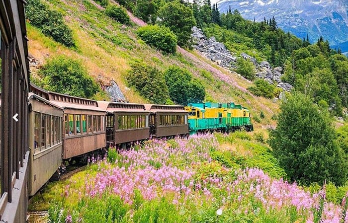 Train tour in alaska