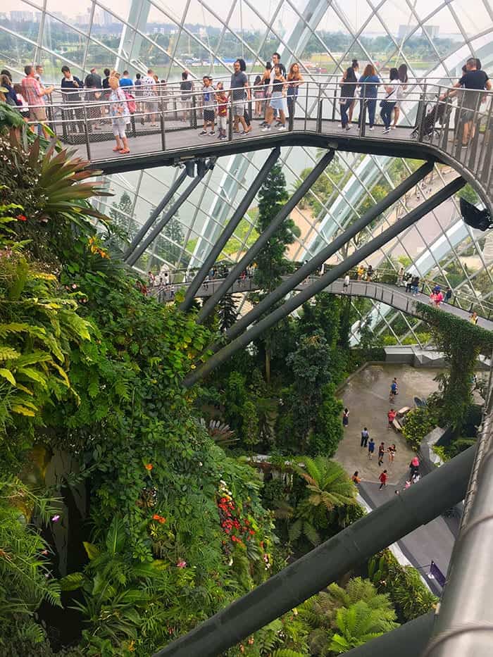 Cloud Forest Singapore