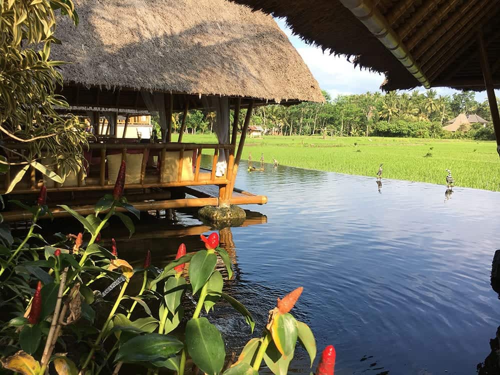 Lunch in Ubud