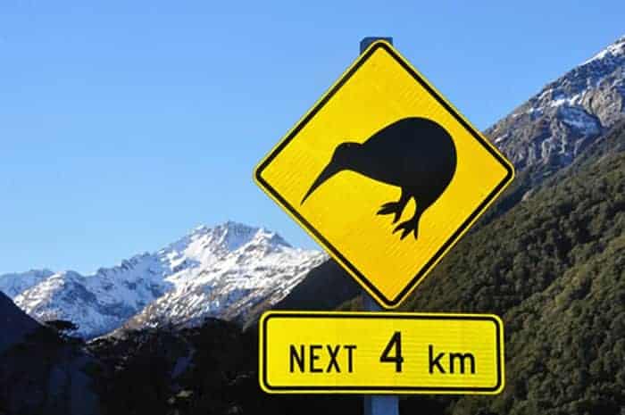 kiwi road sign in new zealand