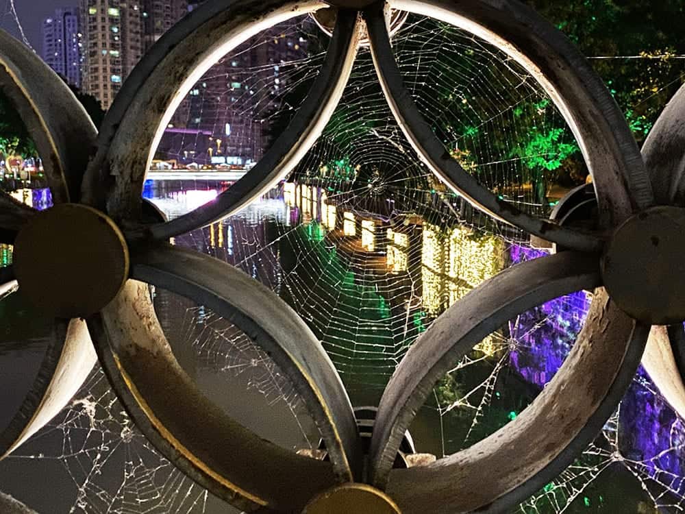 Through a cob web on the Jin River Chengdu