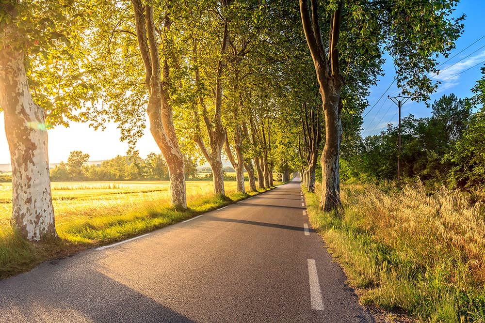 The road to Uzes