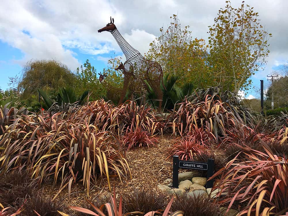 Sculptures at the Sculptureum Matakana