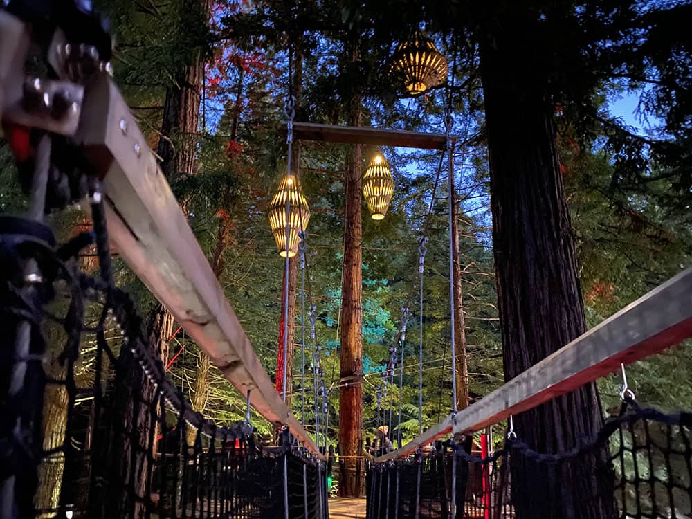 Rotorua Redwoods night walk