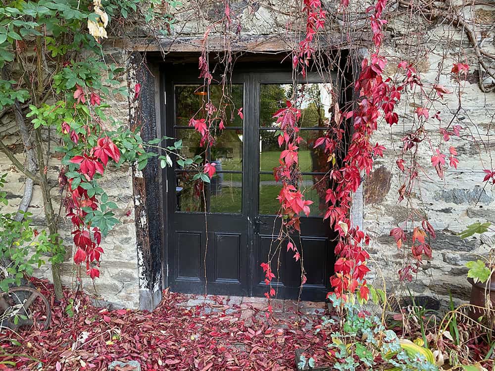 Olivers restaurant with autumn leaves