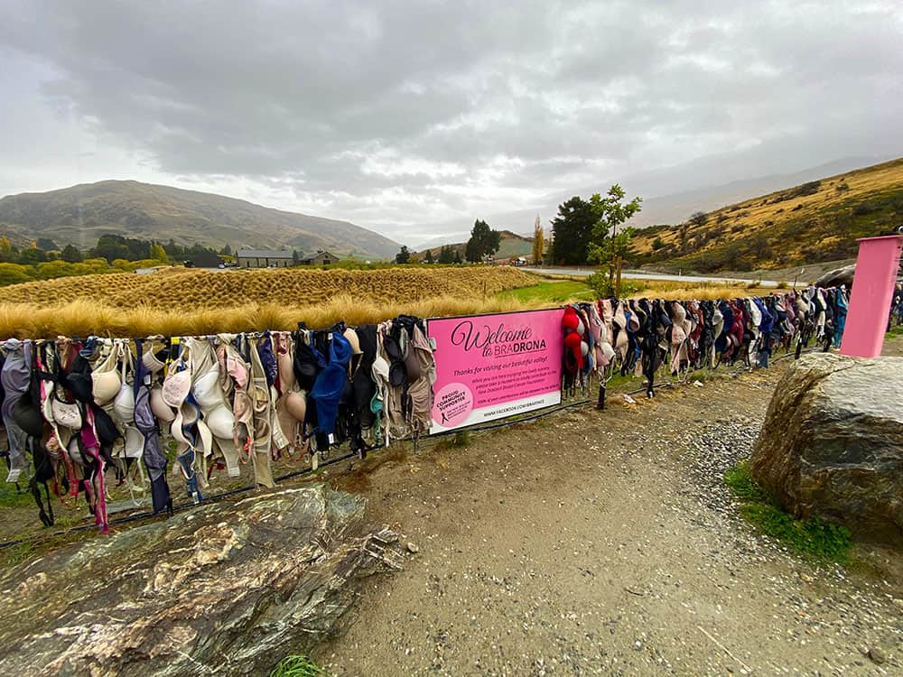 Cardrona Bra Fence