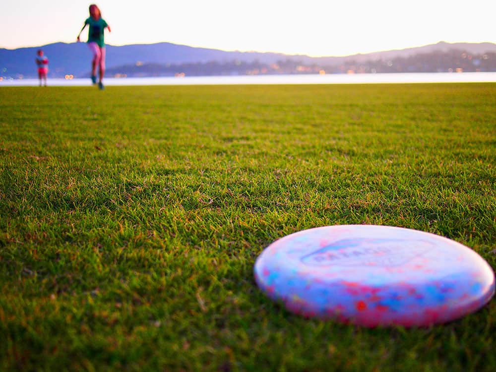 Frisbee in a park