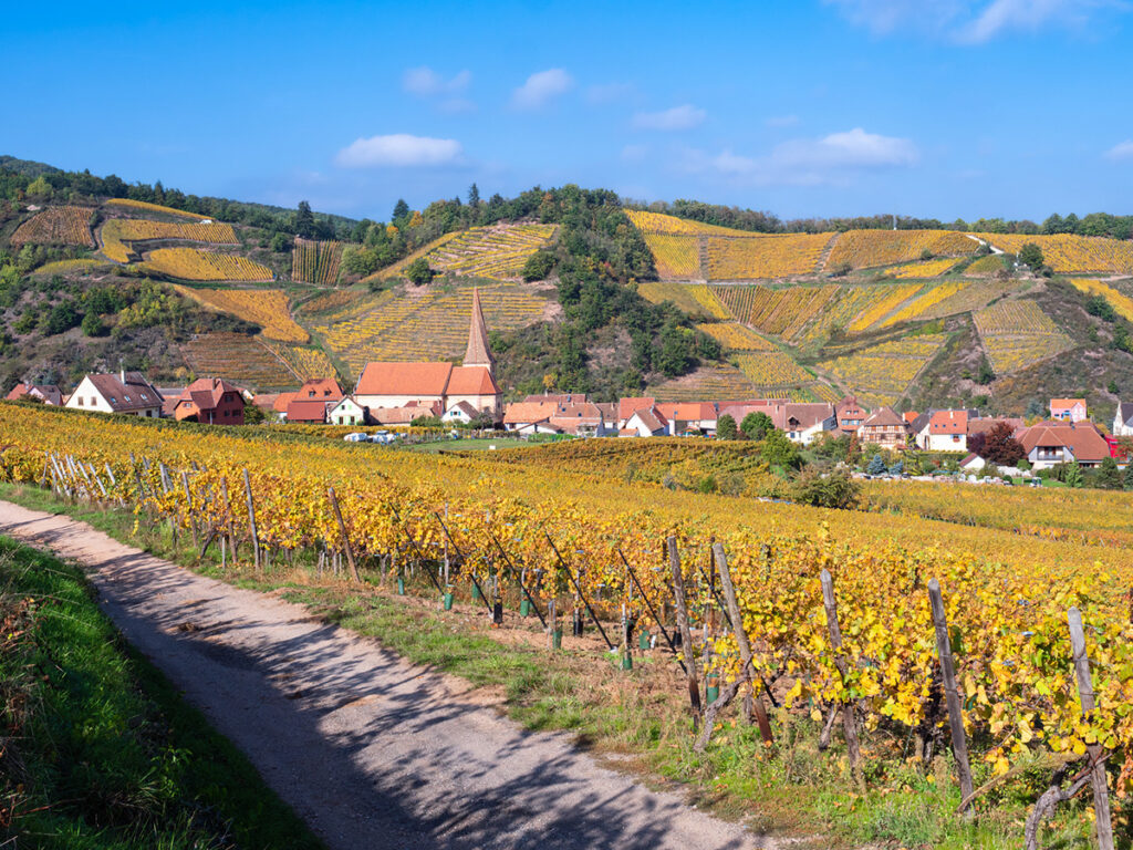 A village in the Alsace wine region