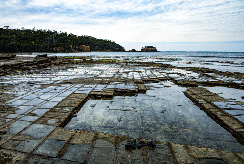 Tessalated Pavement Tasmania