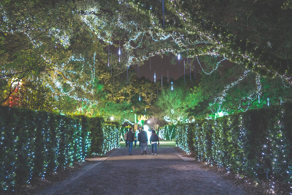 Lights twinkling at Christmas in the Oaks, New Orleans