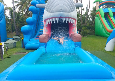 Big Bula shark slide