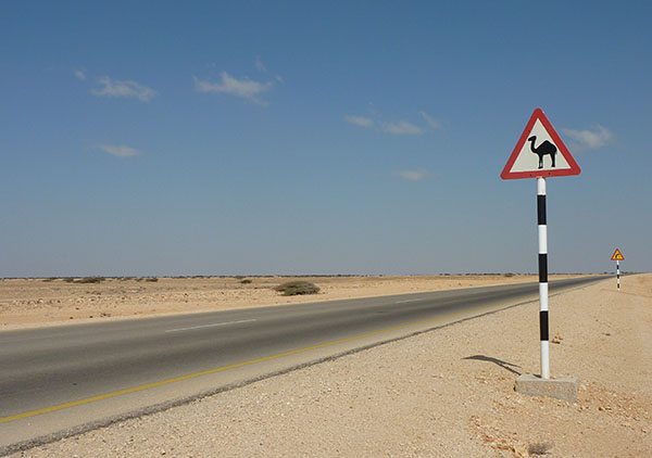 Camel road sign on the side of the road with deserts on both sides and a few growing shrubs at a distance.