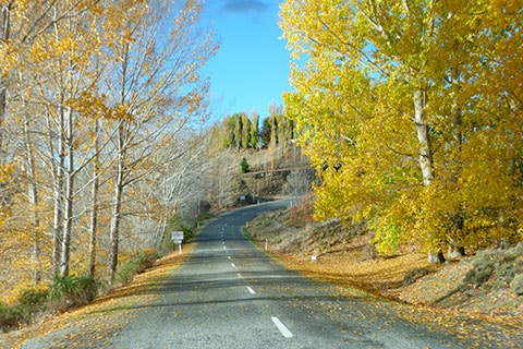 Central Otago in autumn
