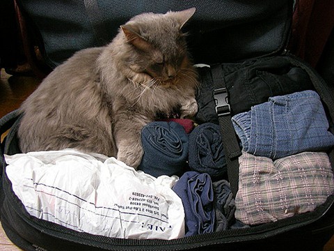 Packing tips