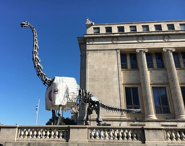 Field Museum Chicago