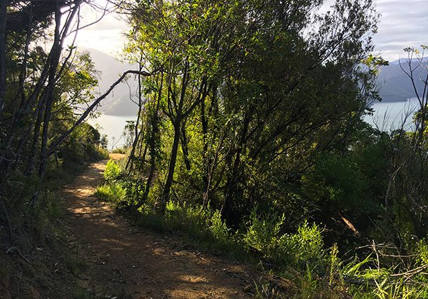 Cycle track Marlborough