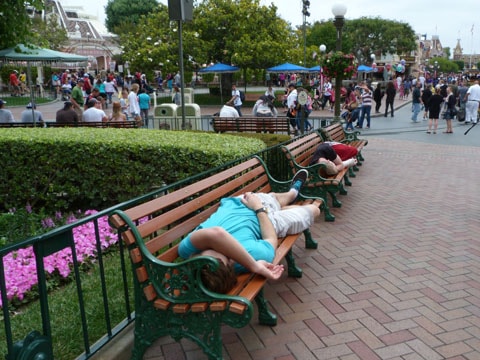Sleeping at Disneyland