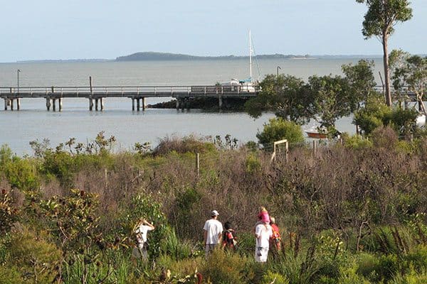 A group of tourists walking on the bushes looking for a dingo near the fence.