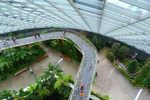 Gardens by Bay Cloud Forest