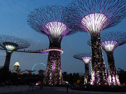 Gardens by the Bay super trees