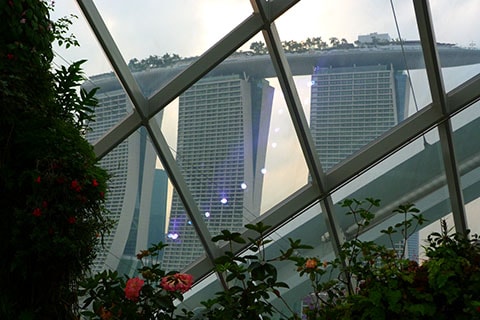 Gardens by the Bay Marina Sands