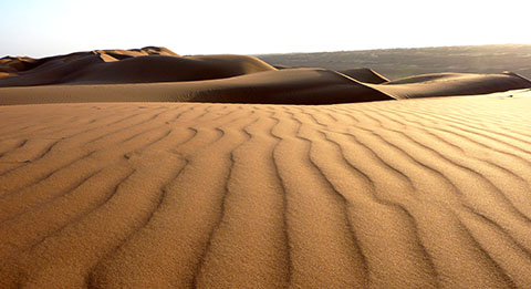 Oman sand dune