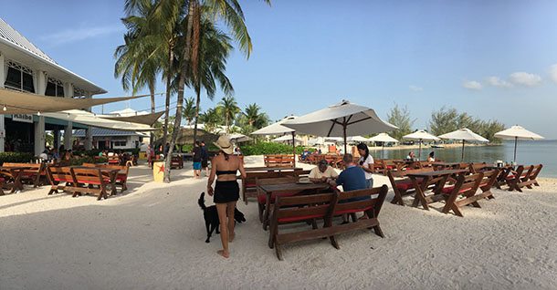 Beach bar Cayman