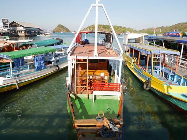 Boats to go Komodo dragon watching