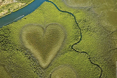 New Caledonia heart island