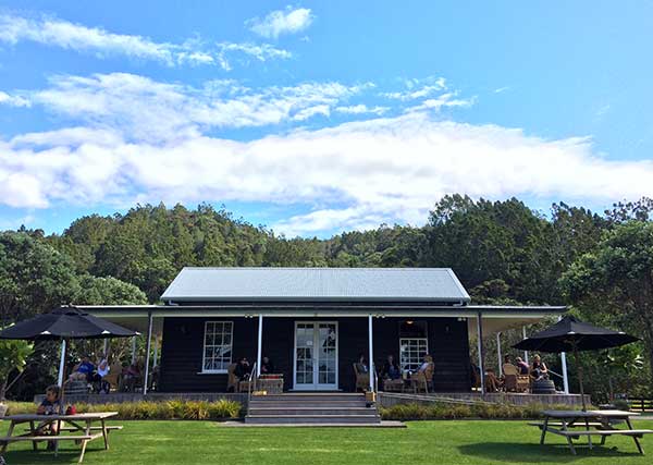 Man O War Waiheke