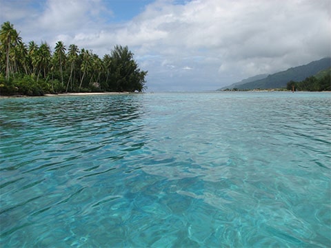 Moorea sea