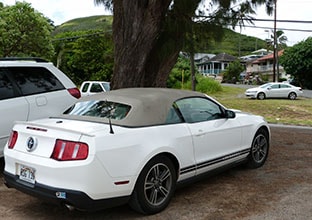 Mustang Hawaii