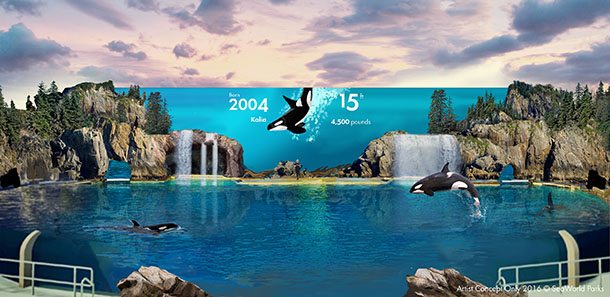 Seaworld new orca enclosure