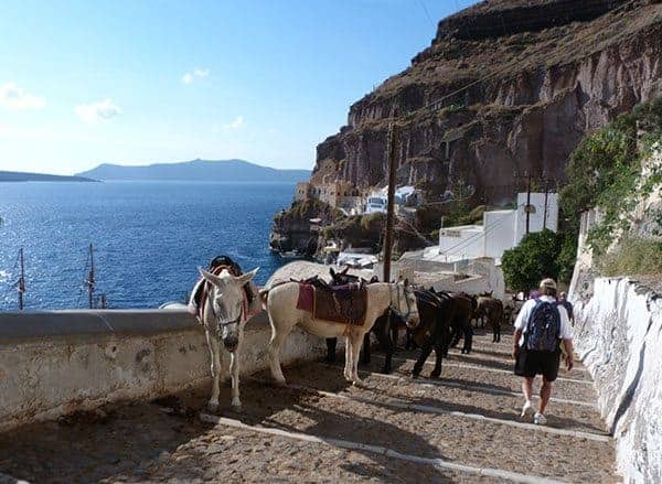 Santorini donkeys