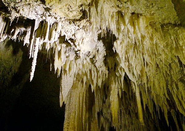 Jewel Cave stalactites