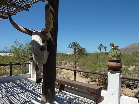 A touch of the wild west on a horse ranch where you can also drive ATVs around the sand dunes