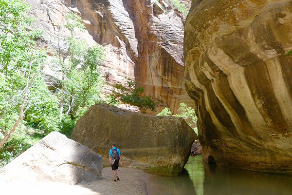 Still water at Zion Narrows