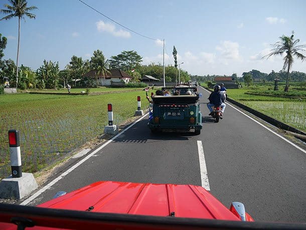 VW drive through rice fields