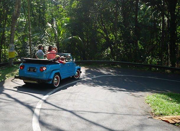 VW safari to ubud