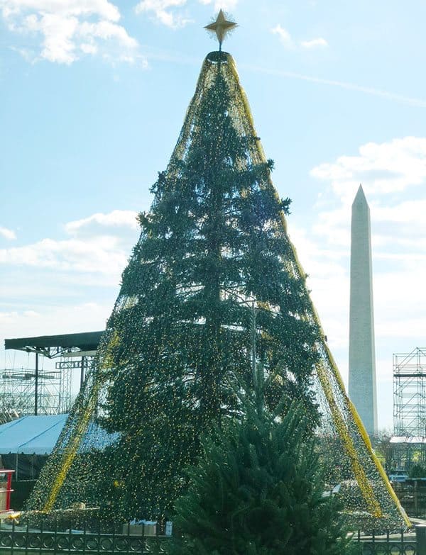 White house Christmas tree