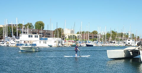 Give it a rev! Paddle boarding on the harbour surrounded by yachts.