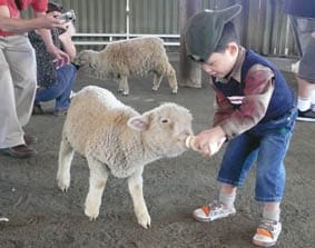 A child feeding a kid or baby goat with milk on a bottle.